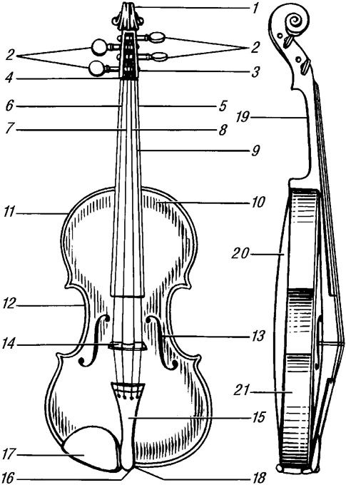 Схемы музыкальных инструментов. Чертежи скрипки Страдивари. Корпус скрипки сбоку. Строение виолончели. Строение виолончели схема.